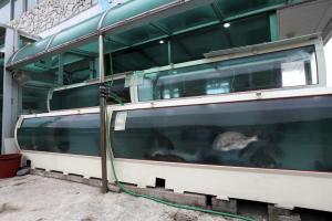 음식/숙박/쇼핑 리스트이미지