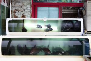 음식/숙박/쇼핑 리스트이미지