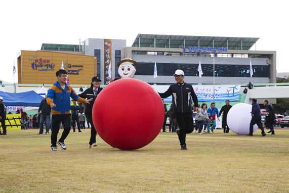 축제/공연/행사 메인이미지
